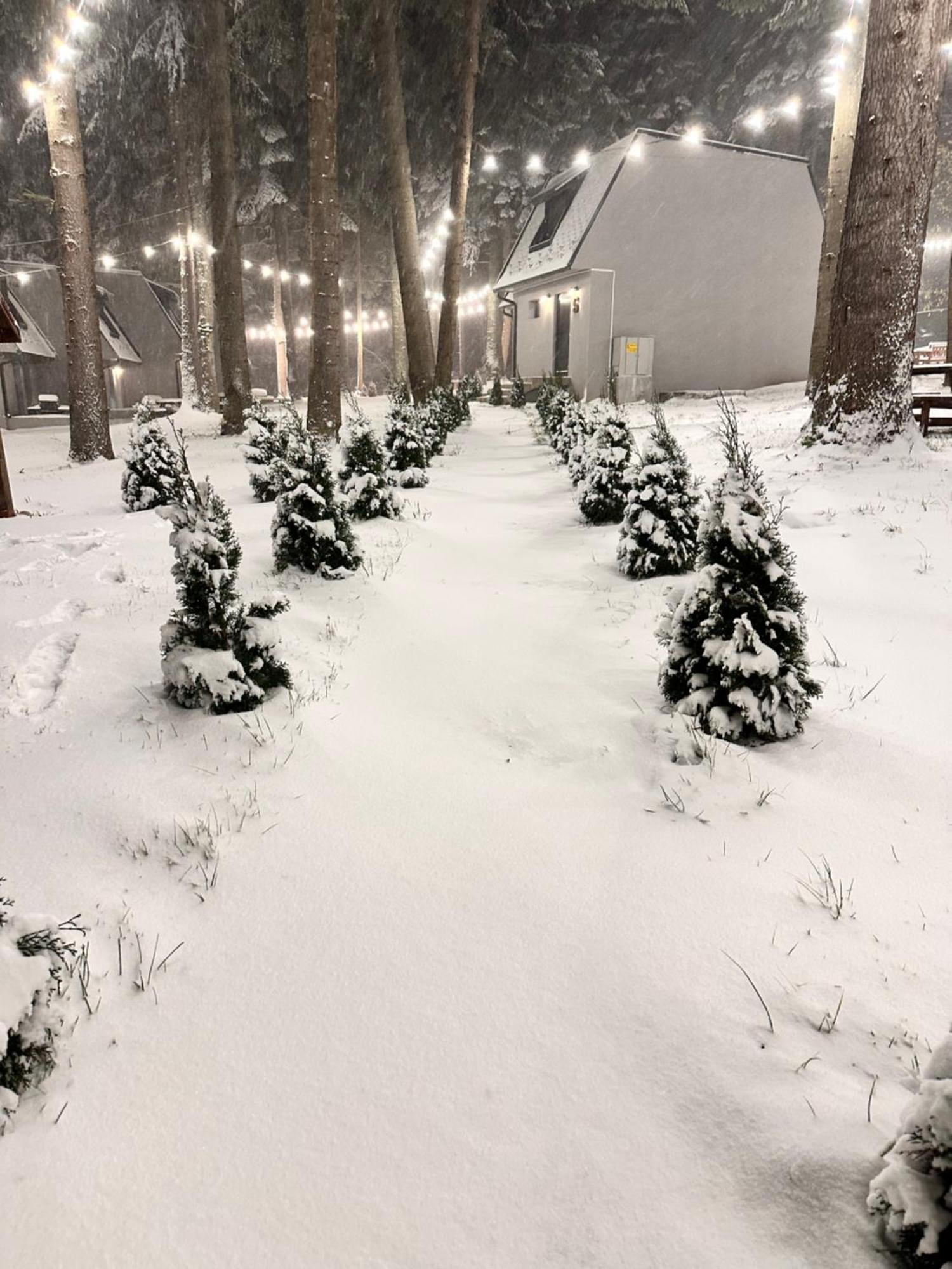 Boro Green Holiday Village Borovets Exterior foto