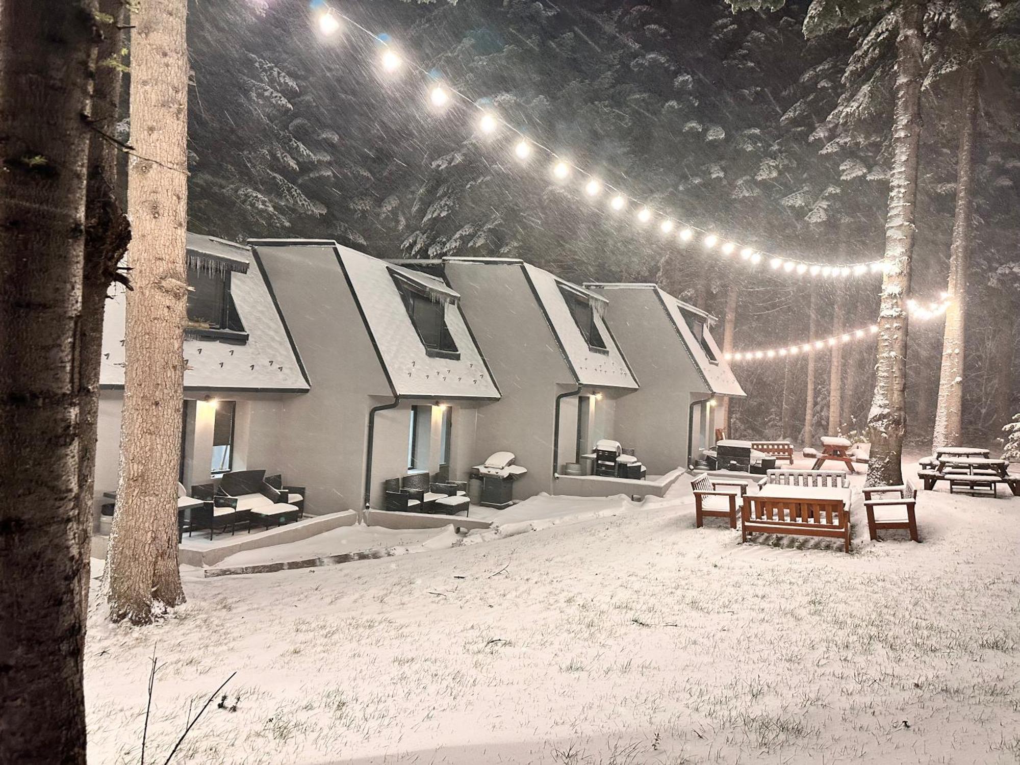 Boro Green Holiday Village Borovets Exterior foto