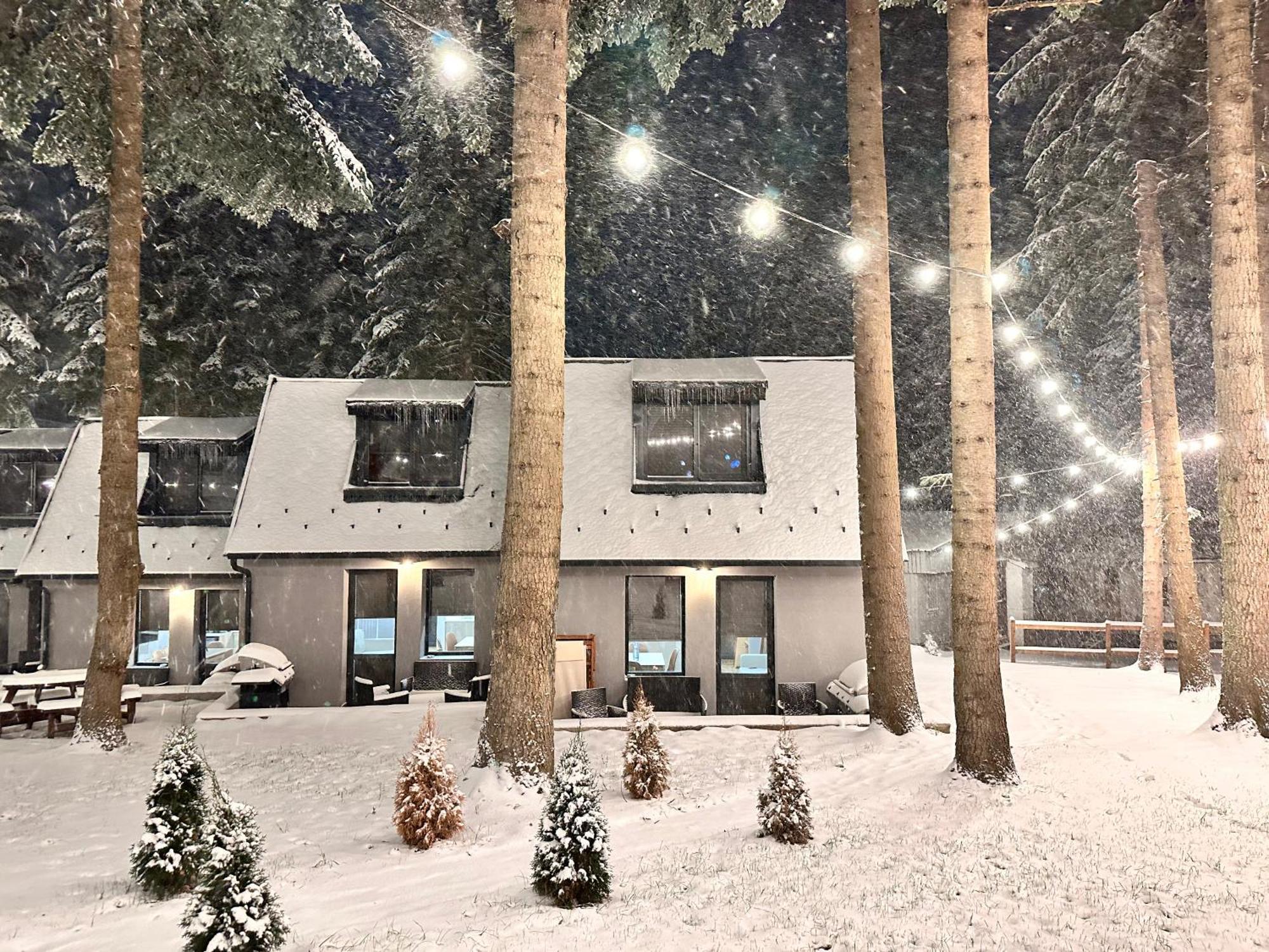 Boro Green Holiday Village Borovets Exterior foto
