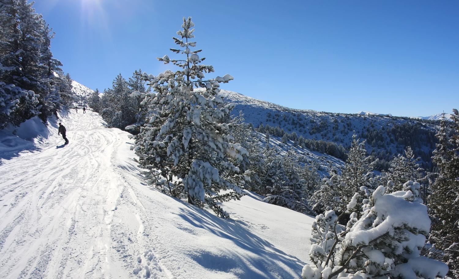 Boro Green Holiday Village Borovets Exterior foto